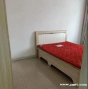 学府尚城 51.15平方 一室一厅 急售15万